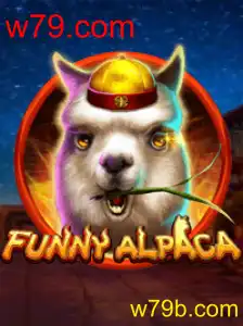 FunnyAlpaca